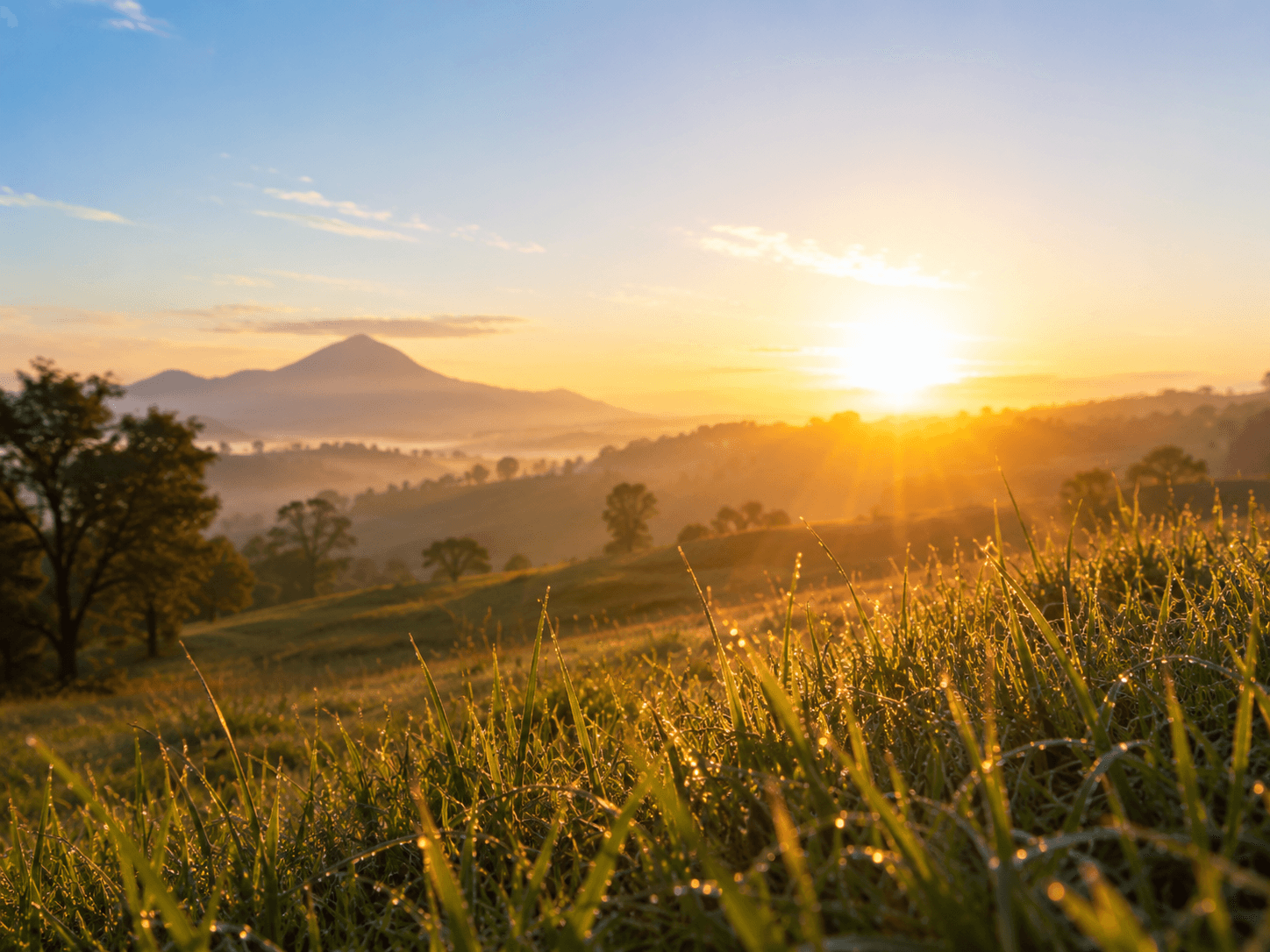 Vitamin D: what to know when sunlight is not enough