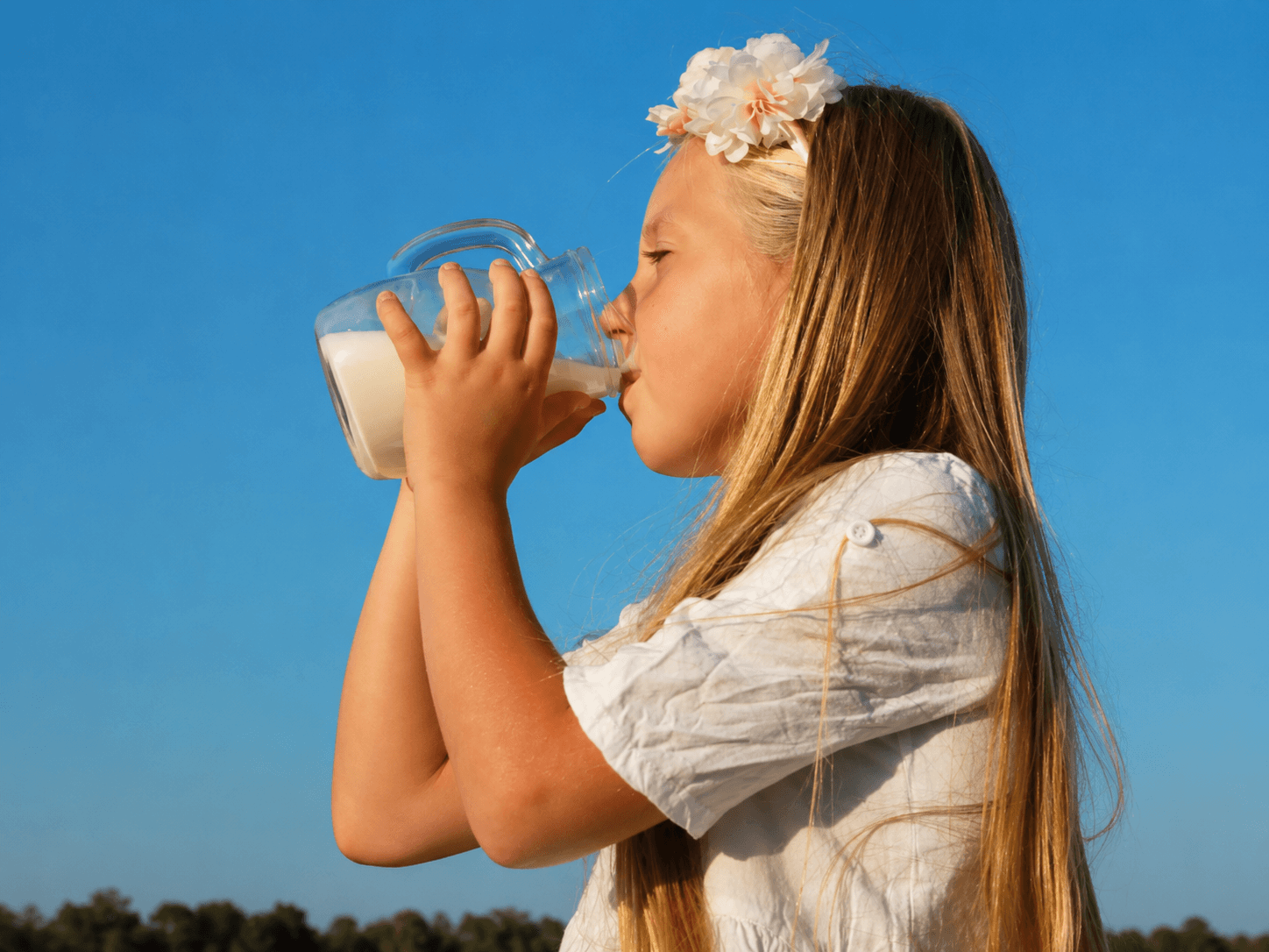Calcium basics for bones, muscles, and daily routines