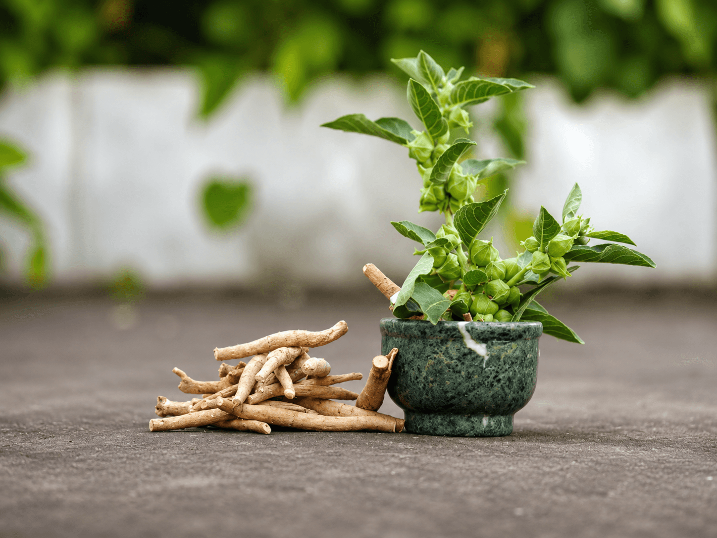 Ashwagandha: what to know before you try it